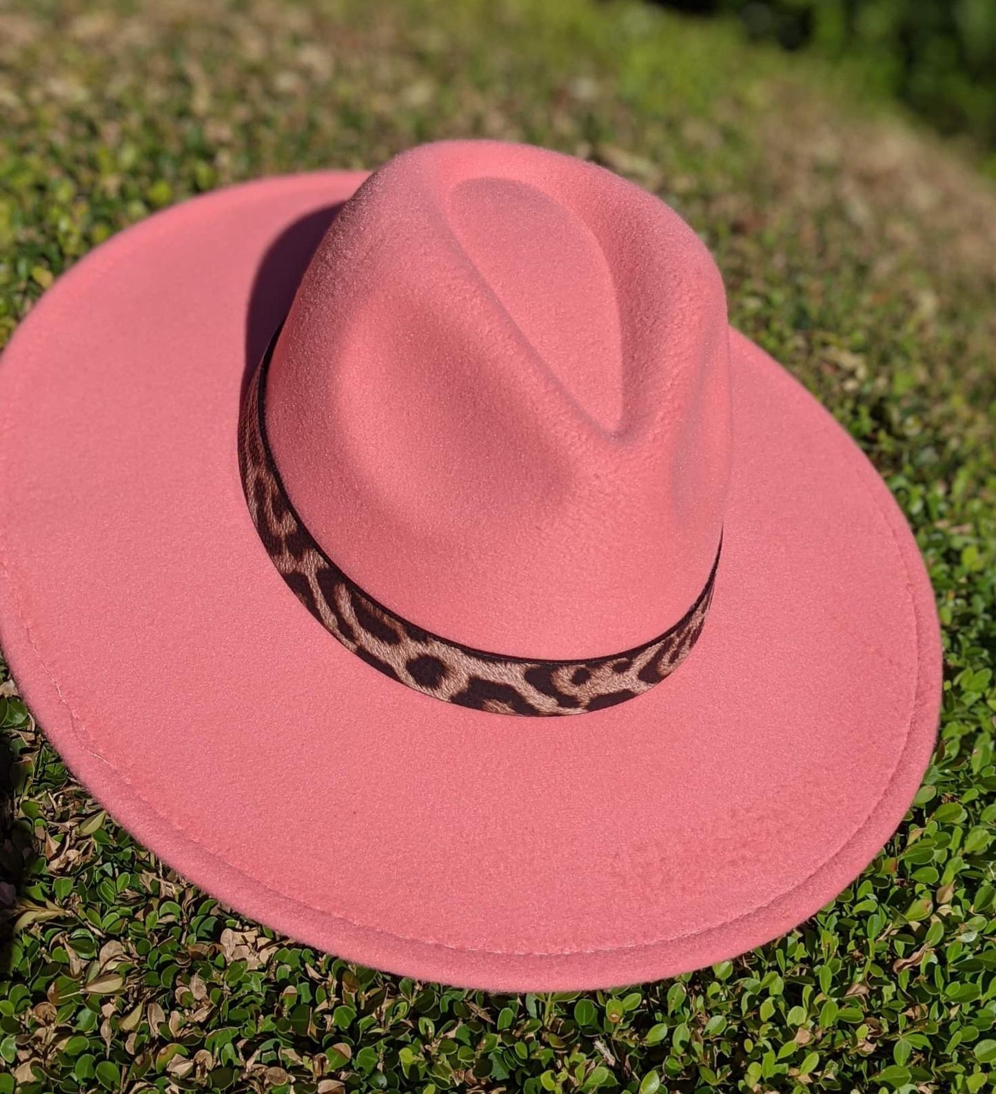 Fedora Leopard Band