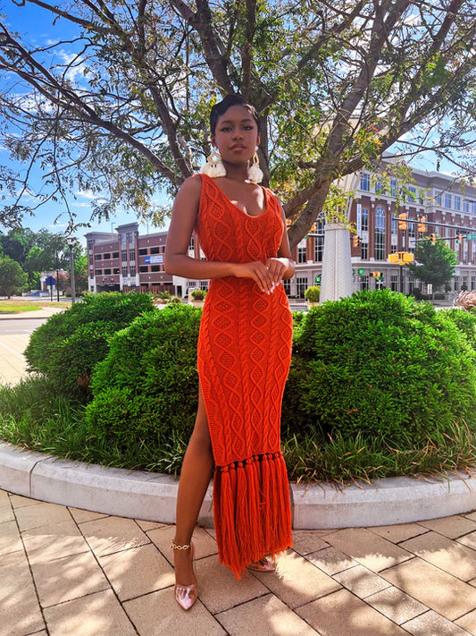 Fringe Sweater Dress